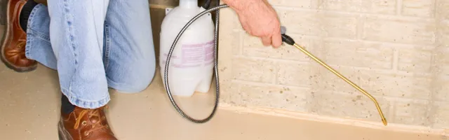 Termite Spraying