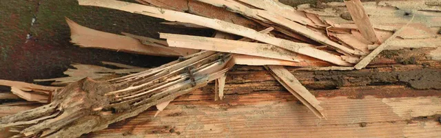 Broken wood